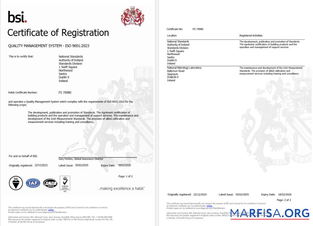 Blank Ireland Dublin BSI certificate of registration Word and PDF template